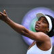 Image for article titled Venus Williams Set to Return to Wimbledon in Mixed Doubles
